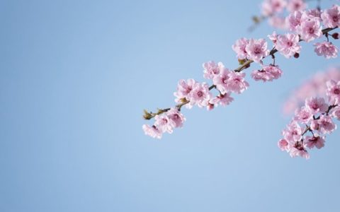 测一测你的思维方式