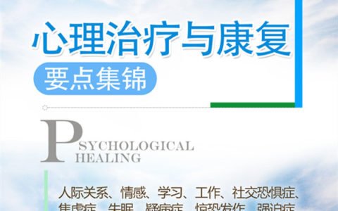 心理治疗与康复的要点集锦