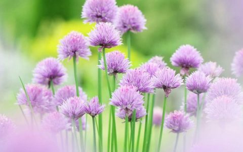 心理调节之改变思维方式