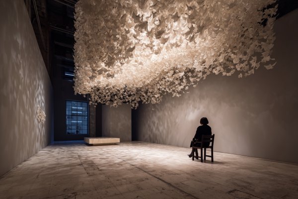 重度社交恐惧症的心理调节