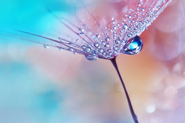 心理疾病的自我分析与调节