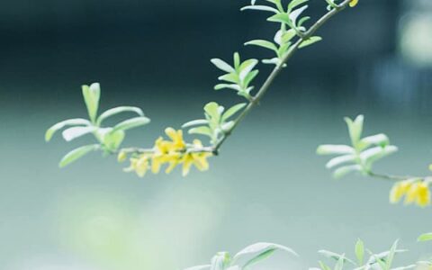 心理疾病靠自己能好起来吗