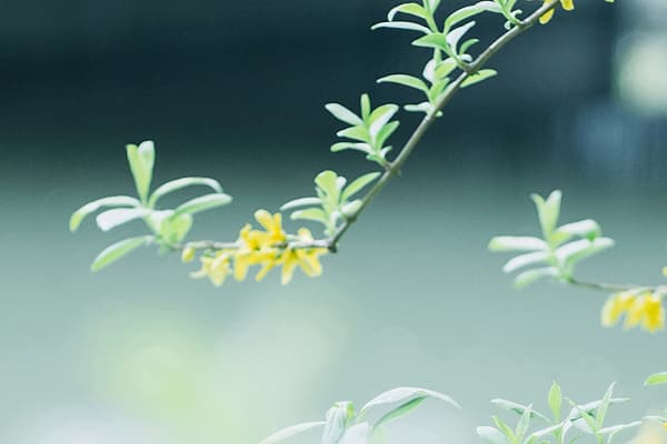 心理疾病靠自己能好起来吗