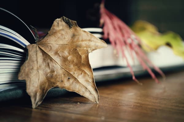 改变的前提是学会自我反省