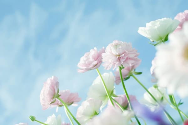 焦虑惊恐和疑病症自救指南