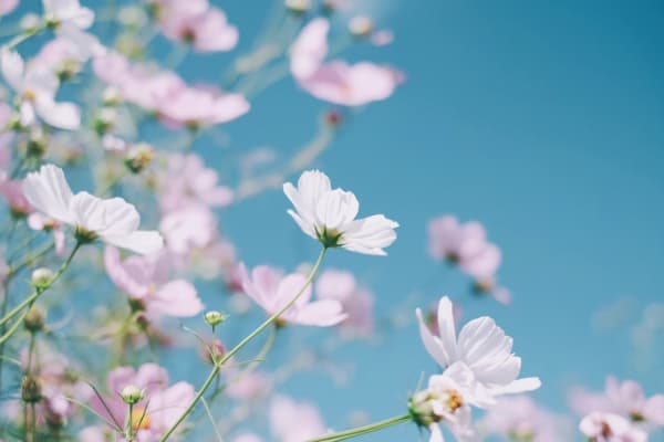 自卑的根本原因和改变方法