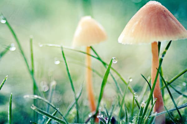 从精分到双相到焦虑到正常